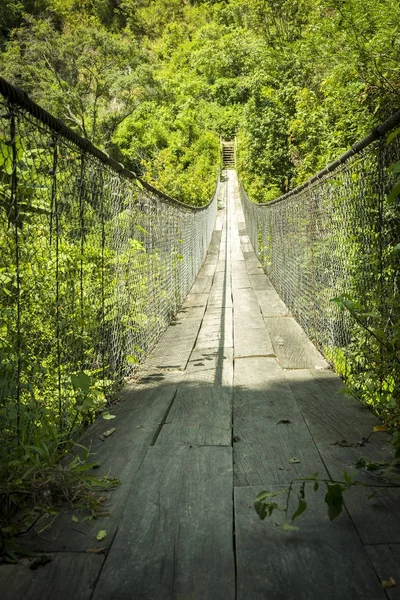 Ponte florestal Guatemala — Fotografia de Stock