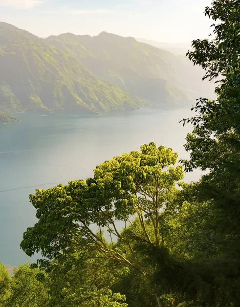 Lago Atitlán Bosque Amanecer — Foto de Stock