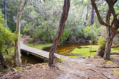 Sığınak Cove kamp