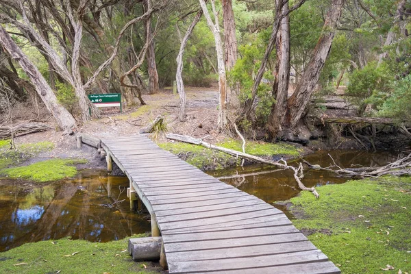 Gångbro till Refuge Cove Camping — Stockfoto