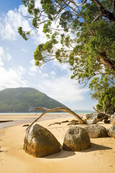 Sealers Cove Rocks — Stock Photo, Image