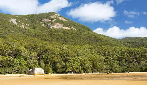 Pečetidla Cove Austrálie — Stock fotografie