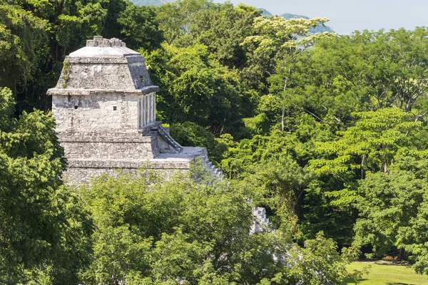 古代マヤの建物 — ストック写真