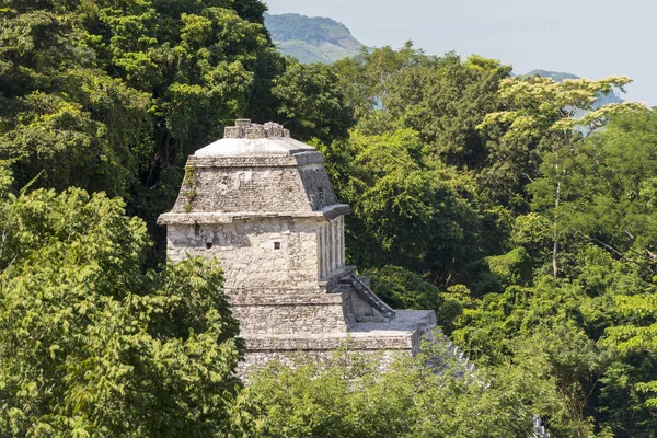 Palenque México Noviembre Antiguas Estructuras Mayas Sitio Del Patrimonio Noviembre — Foto de Stock