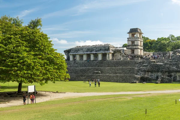 Palenque México Novembro Pessoas Não Identificadas Exploram Ruínas Templo Mayan — Fotografia de Stock