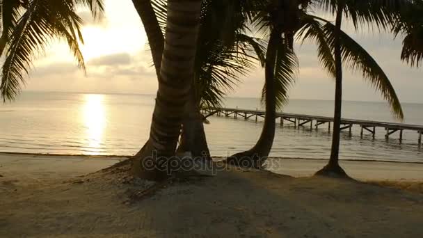 Kajak Tropical Beach Scene — Stock video