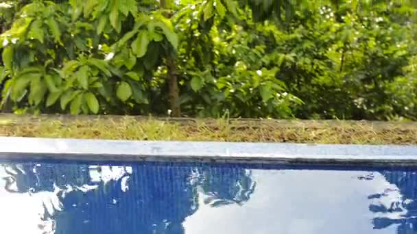 Schwenken Von Einem Tropischen Swimmingpool Den Dschungel Und Den Himmel — Stockvideo