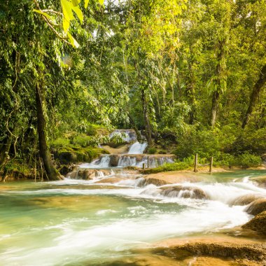 Agua Azul şelale Palenque Chiapas, Meksika için yakın