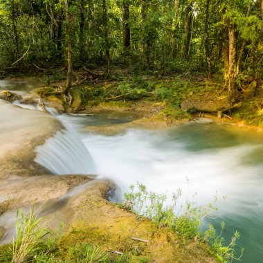 Yağmur ormanları şelale de Agua Azul Palenque Chiapas, Meksika için yakın