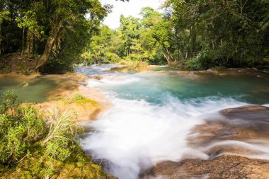 Agua Azul Palenque Chiapas, Meksika için yakınındaki Rainforest şelaleler