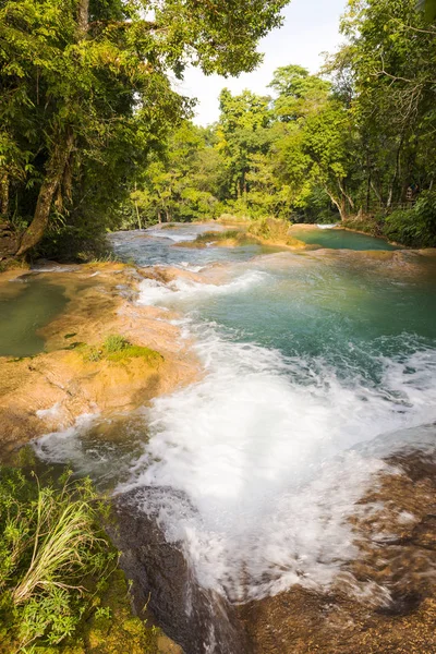 Wodospady Dżungli Agua Azul Pobliżu Palenque Chiapas Meksyk — Zdjęcie stockowe