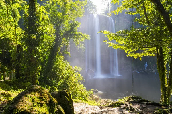 Dschungelpfad Zum Misol Wasserfall Der Nähe Von Palenque Chiapas Mexiko — Stockfoto