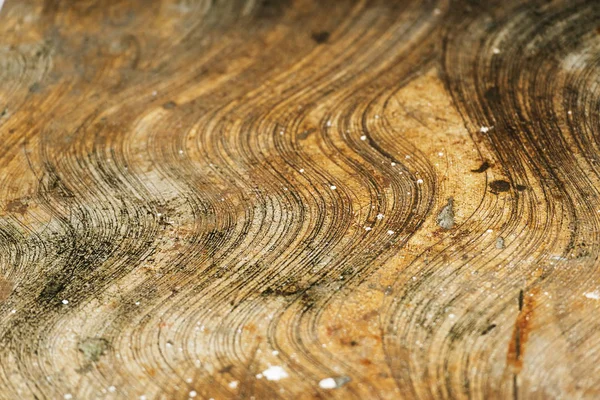 Τσιμεντένιο Πάτωμα Καμπυλωτό Μοτίβα Και Λεκέδες — Φωτογραφία Αρχείου
