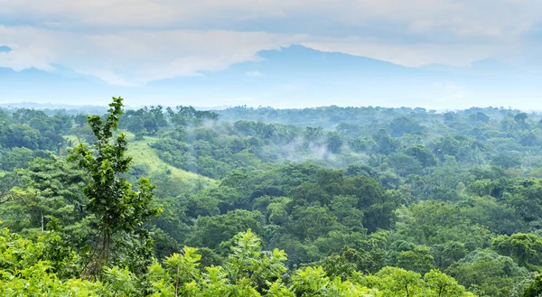 Paisaje de la selva de México — Foto de Stock