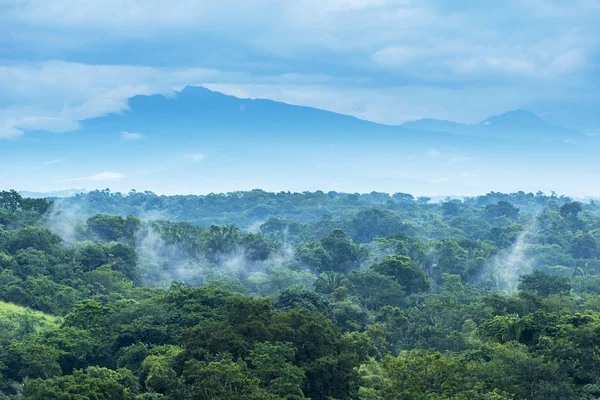 Mexico Jungle landschap — Stockfoto
