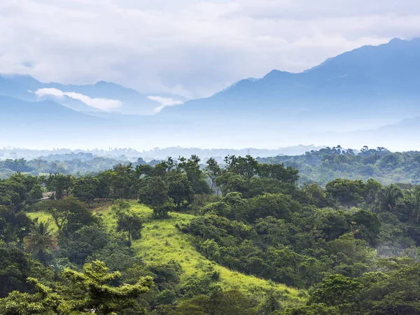 Paisaje de la selva de México — Foto de Stock