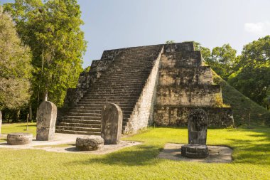 Karmaşık Q Tikal Harabeleri Guatemala