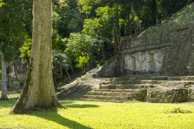 Tikal Maya binalar
