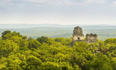 Tikal Ulusal Parkı Guatemala