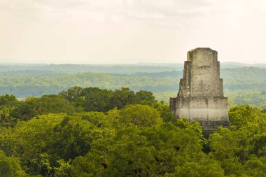 Tikal Harabeleri Guatemala