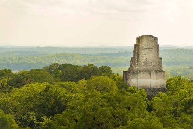 Tikal Ruins Guatemala clipart