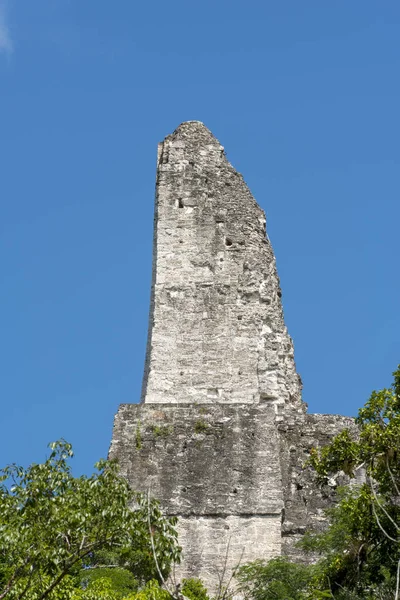 Templet 4 tak kam Tikal Guatemala — Stockfoto