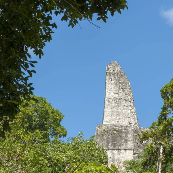 Tapınak 4 çatı tarak Tikal Guatemala — Stok fotoğraf