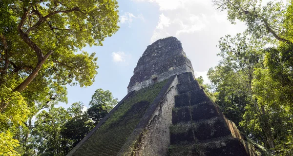 Templo 5 Tikal Guatemala — Fotografia de Stock