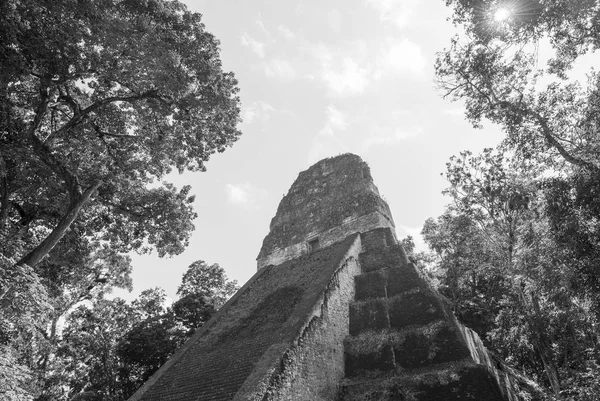 Ναός 5 Γουατεμάλα Tikal — Φωτογραφία Αρχείου