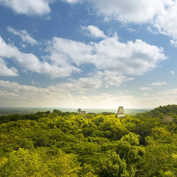 Tikal Guatemala Ruínas Maias — Fotografia de Stock