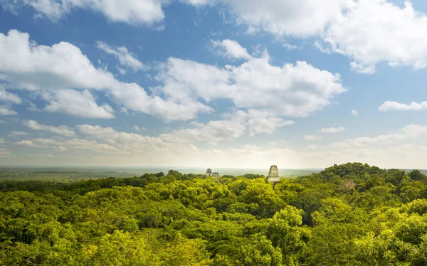 Tikal Gwatemali ruiny Majów — Zdjęcie stockowe