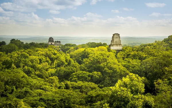 Tikal Guatemala Uma Antiga Cidade Maia Ruínas Cercada Pela Selva — Fotografia de Stock