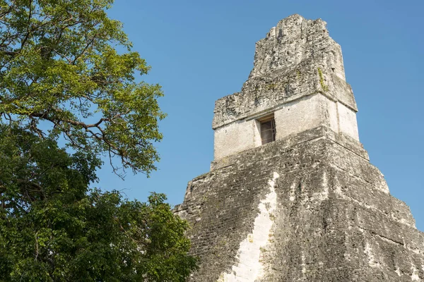 Tikal Guatemala Harabeleri — Stok fotoğraf