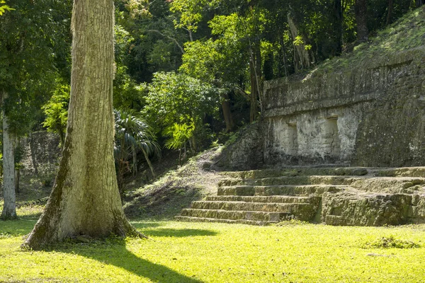 Tikal mayské stavby — Stock fotografie