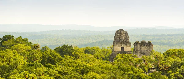 Ruines Tikal Guatemala — Photo