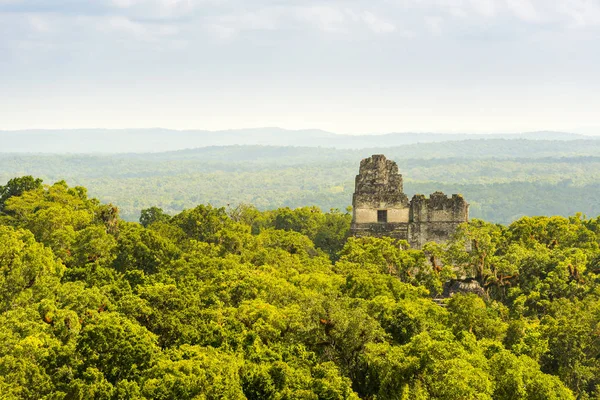 Tikal Ruins Guatemala — Stock Photo, Image