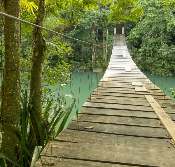 Brücke im Rio Blanco Nationalpark Belize — Stockfoto