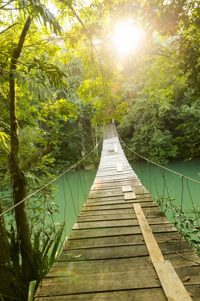 Epic most přes džungle řeka — Stock fotografie