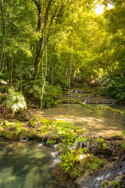 Čisté Vodopády Řeky Přes Mexiko Jungle — Stock fotografie