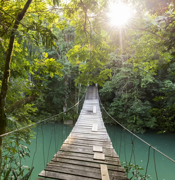 Spokojnym lesie Footbridge — Zdjęcie stockowe