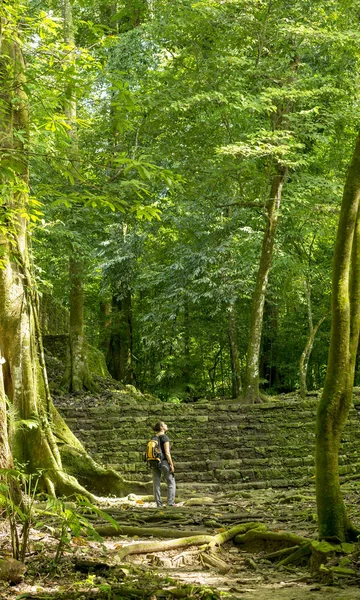女性のジャングルの遺跡を探索 — ストック写真