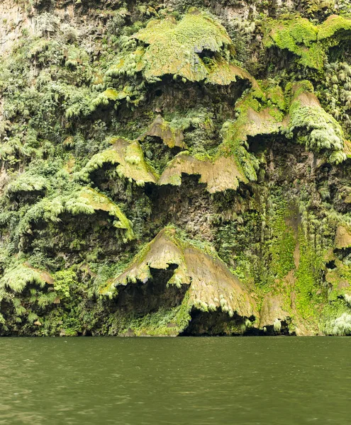 Arbol Navidad Christmas Tree Waterfall Sumidero Canyon Chiapas Mexico — Stock Photo, Image