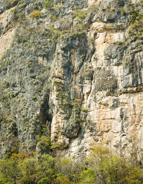 Wapienne Ściany Urwiska Chiapas Kanion Sumidero Meksyk — Zdjęcie stockowe