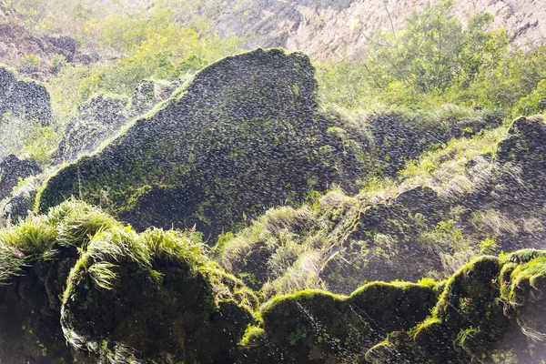 Mgła Nad Zielony Mech Wodospadem Klif Kanion Sumidero Chiapas Mexico — Zdjęcie stockowe