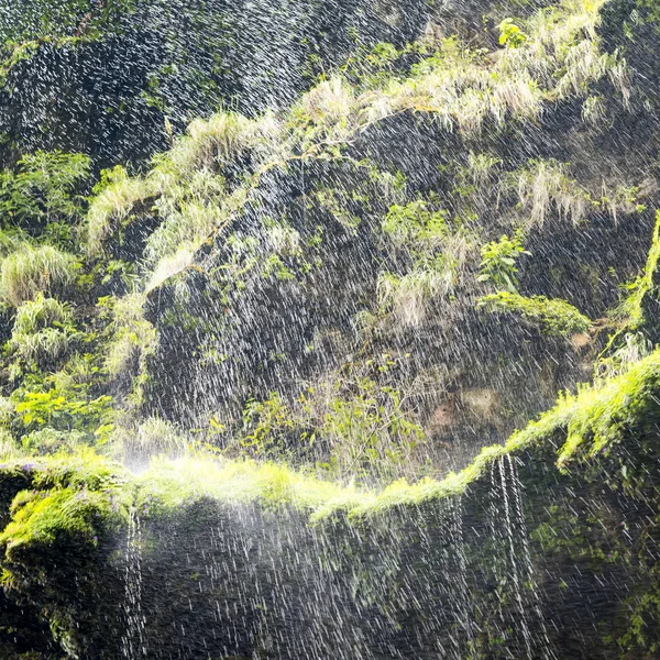 Zelený Mech Vodopád Jako Přírodní Abstraktní Pozadí — Stock fotografie