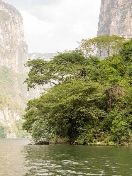 Schöne Aussicht Auf Den Fluss Sumidero Canyon Chiapas Mexiko — Stockfoto