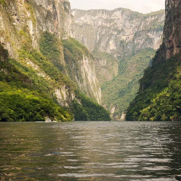 Botes Turistas Recorren Cañón Del Sumidero Chiapas México — Foto de Stock