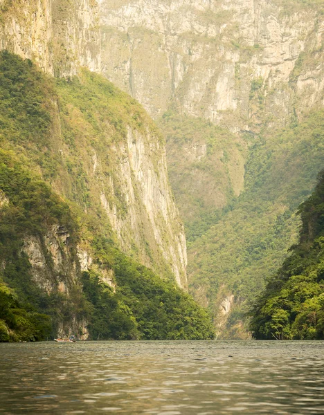 Turister i Sumidero Canyon Mexico - Stock-foto