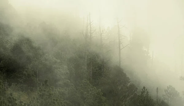 Vistas Del Paisaje Forestal Con Nubes Niebla Sendero Del Volcán —  Fotos de Stock