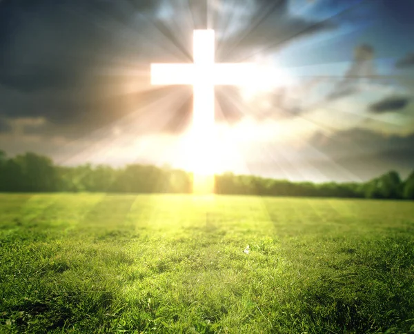 Bright cross in field — Stock Photo, Image